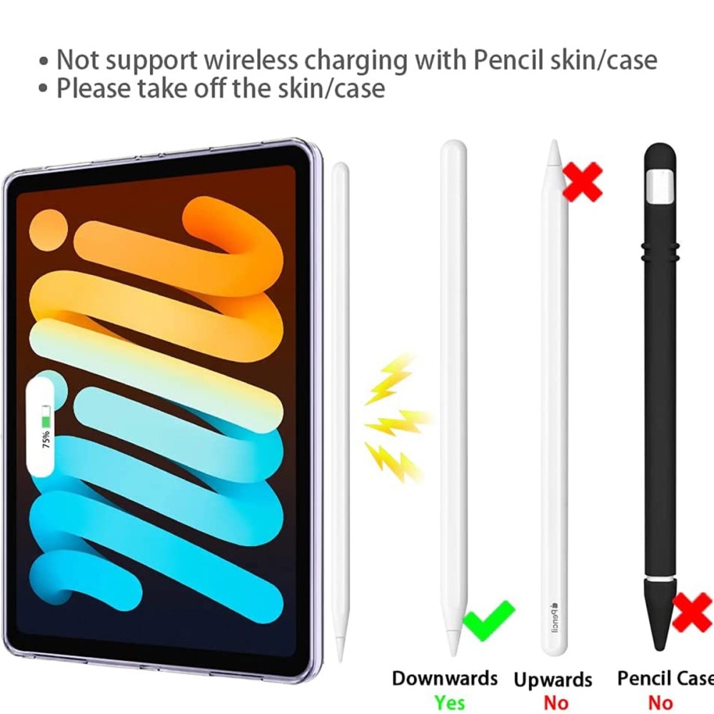 iPad Mini 6th Gen (2021) Trasparente