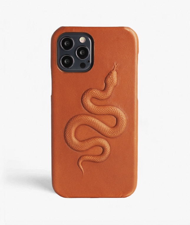 Cover iPhone 12/iPhone 12 Pro Snake  Marrone