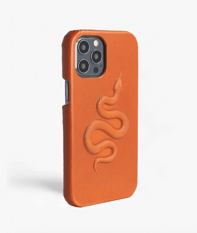 Cover iPhone 12/iPhone 12 Pro Snake  Marrone