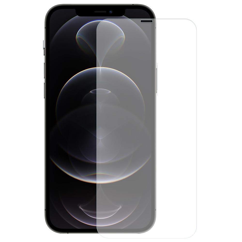 Proteggischermo in vetro temperato 0.3mm iPhone 13 Pro Max