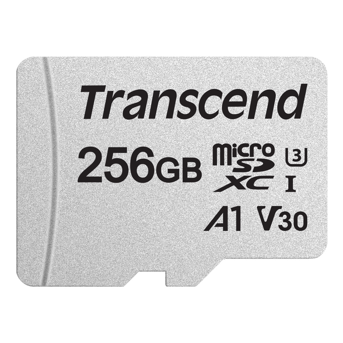 microSDXC 256GB U3 (R95/W40) - Scheda di memoria